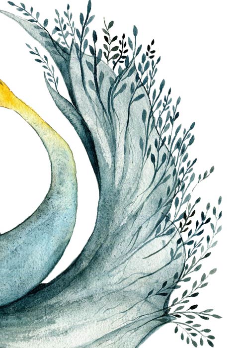 Cosmic Blanket Detail4