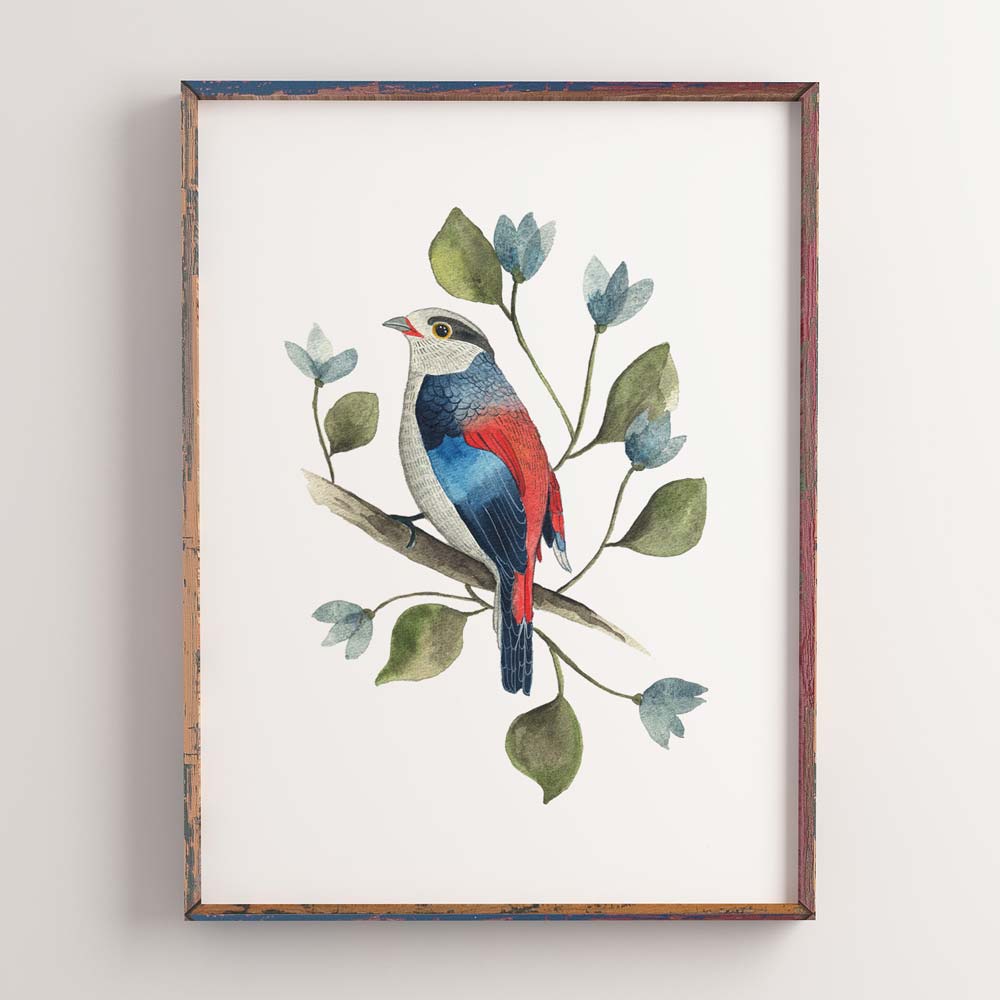 Bird illustration in frame