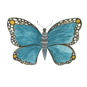 Blue Butterfly print